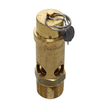 VALVE-SAFETY: .75MPT 200PSI