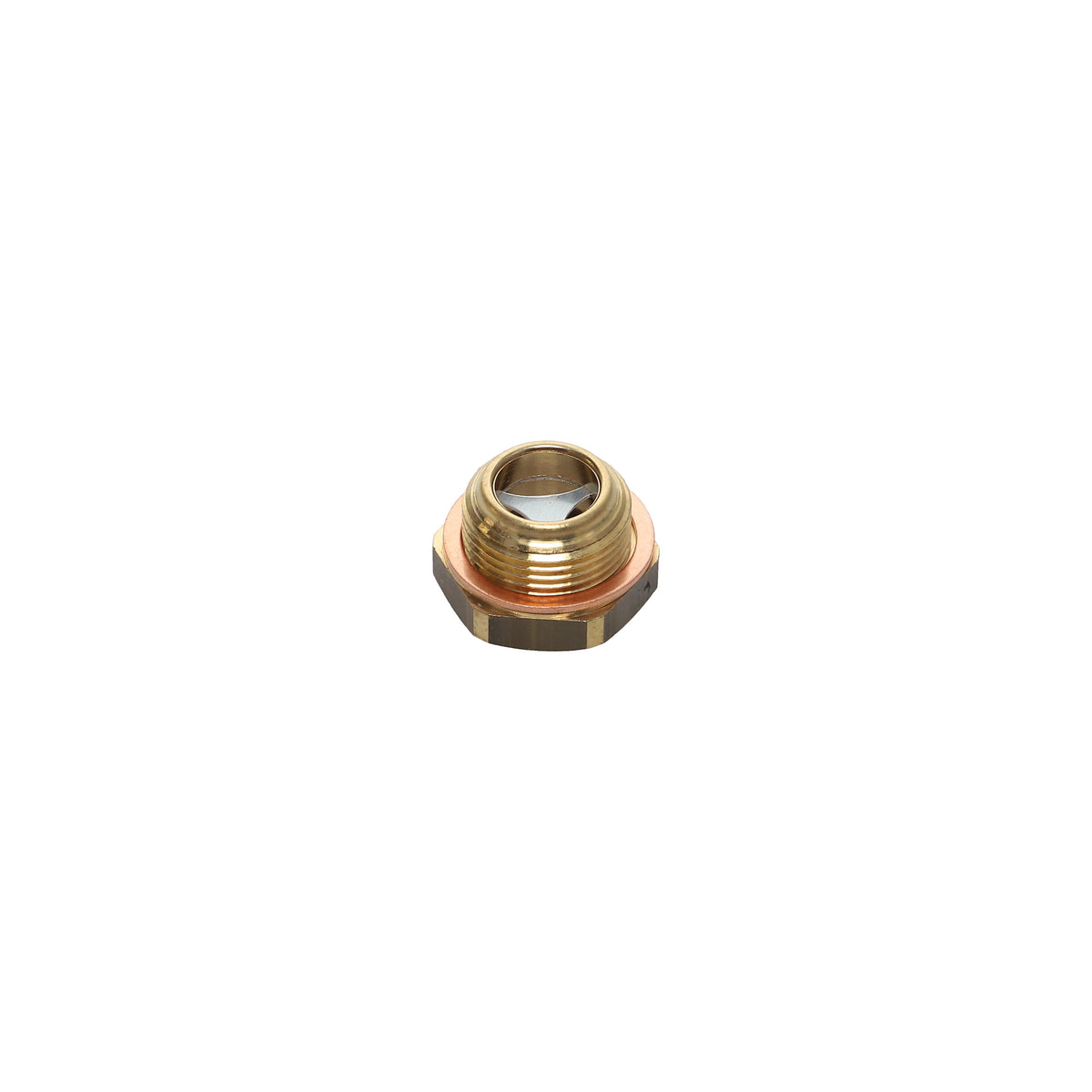PLUG LEVEL SIGHT G 3/4