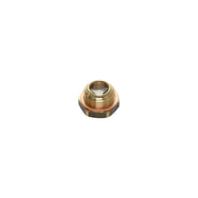 PLUG LEVEL SIGHT G 3/4