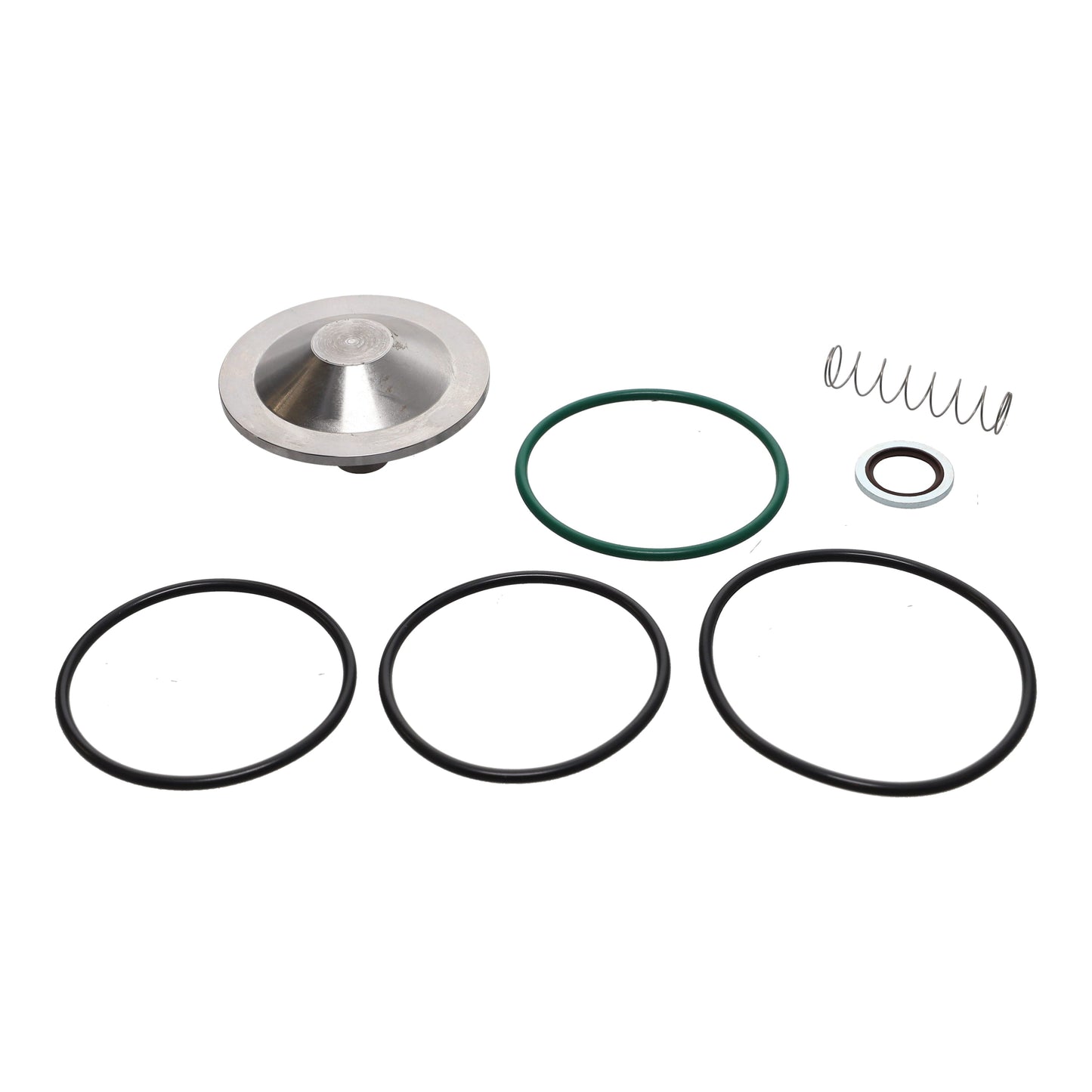 CHECK VALVE KIT GA50VSD C106EL