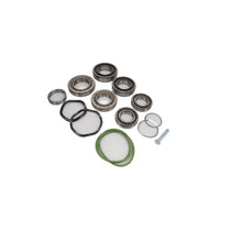 KIT ELEMENT OVERHAUL