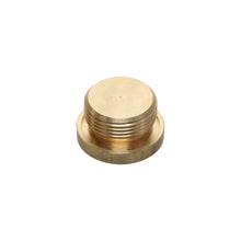 SCREW PLUG GN749-M33X2